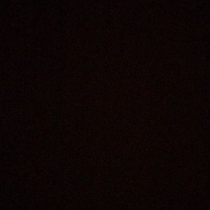 Meet your Posher, Brody